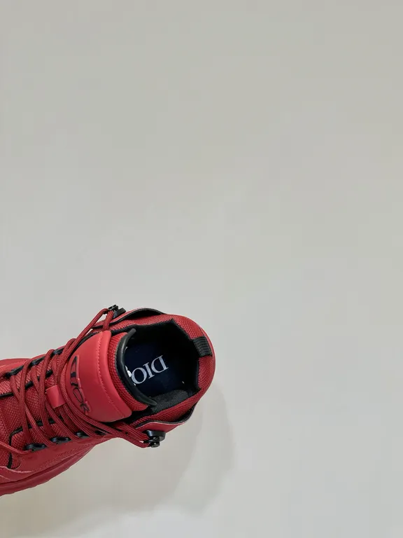 Dior Shoe 